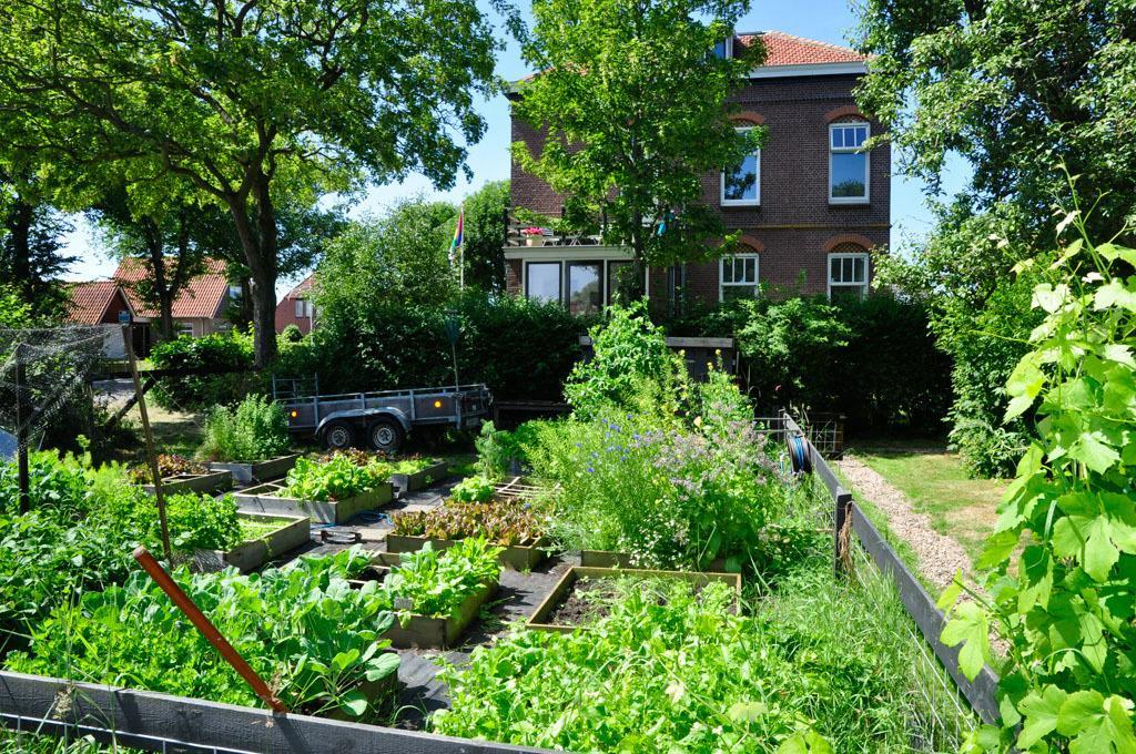 B&B De Postoari Terschelling Hoorn  Exterior photo